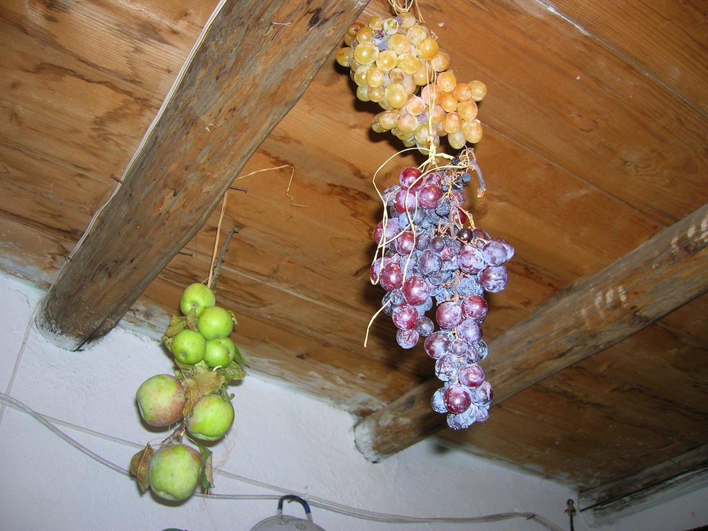 Serranello Azienda Agricola Appartement Bono  Buitenkant foto